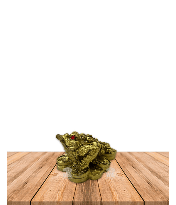 Rana de 3 patas chica JI16-174 / JI24-001