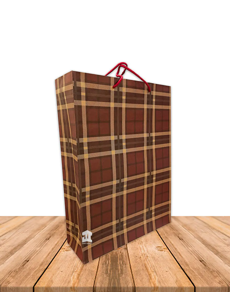 Bolsa Papel Kraft c/diseño 42x31,5cm Precio x Docena JI16-10G 4