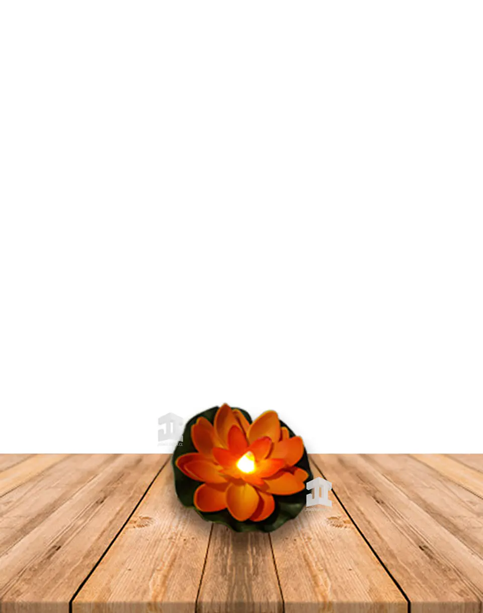  Caja Flor de Loto con Luz 6 un 4