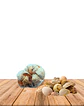 Decoración Conchitas de Mar 100 gr  JI19-284 - Miniatura 2