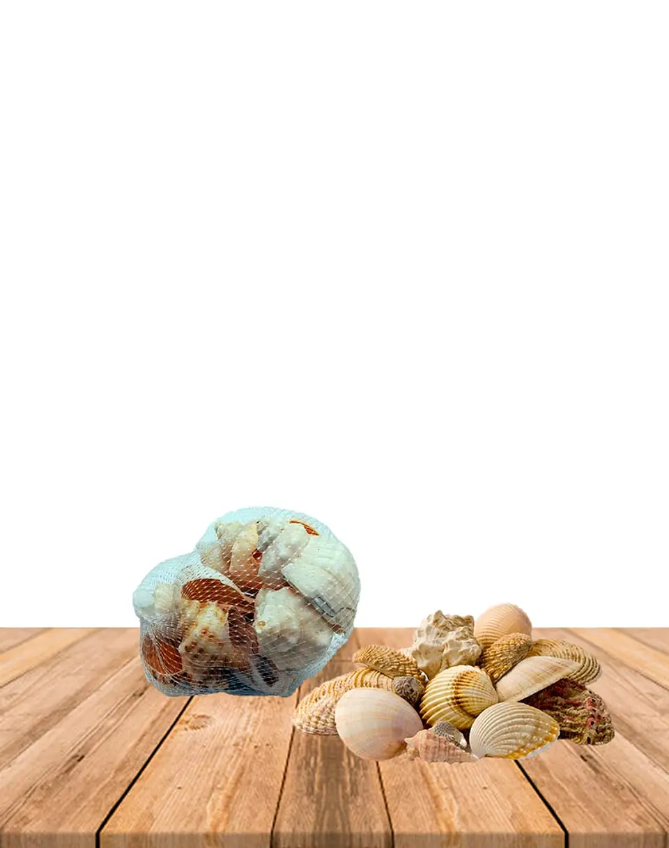 Decoración Conchitas de Mar 100 gr  JI19-284 2