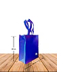 Bolsa Eco. Fuelle Y Cierre 36 x 15 x 42Cm BN001B - Miniatura 4