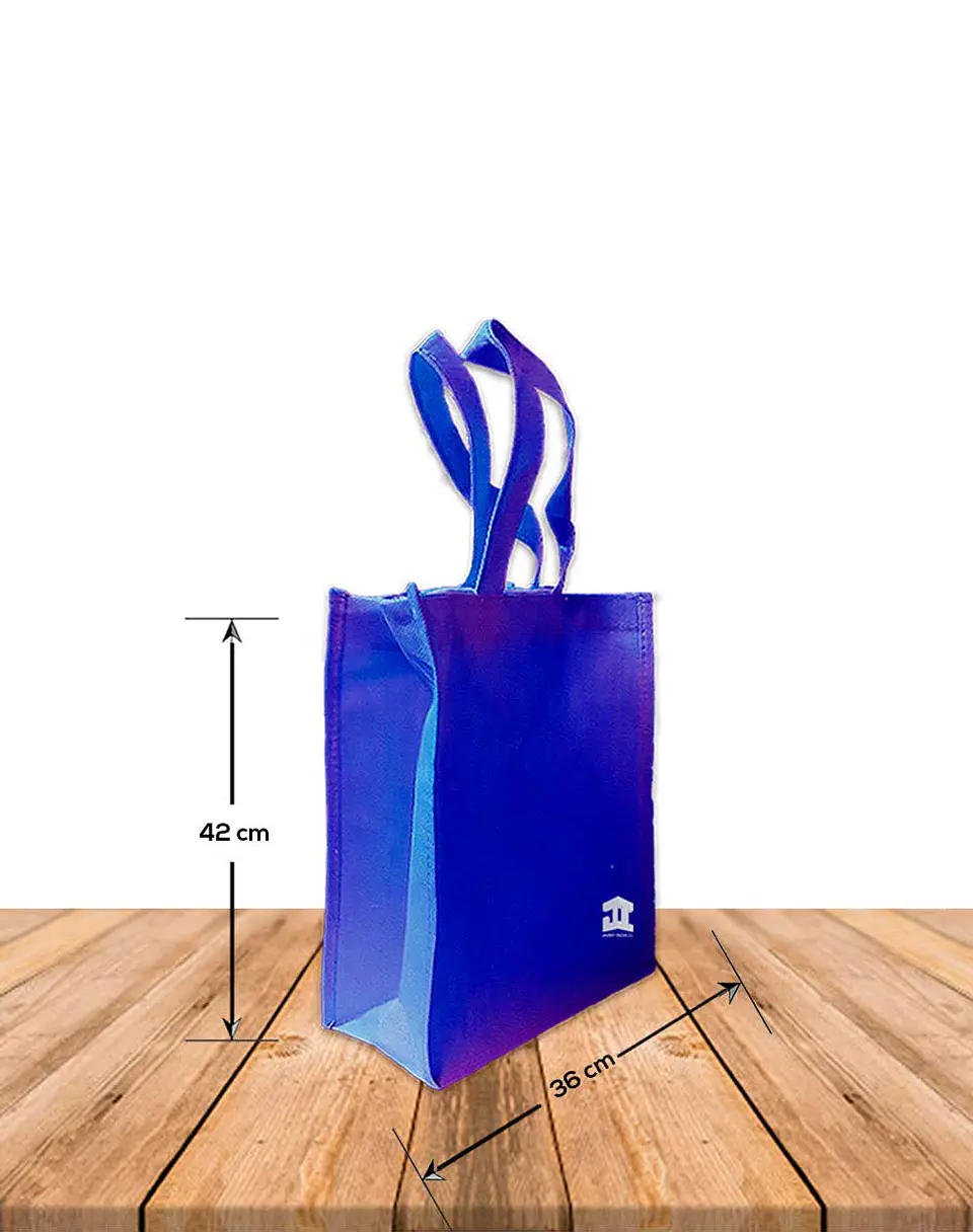 Bolsa Eco. Fuelle Y Cierre 36 x 15 x 42Cm BN001B 4