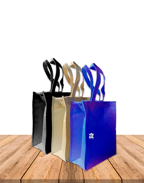 Bolsa Eco. Fuelle Y Cierre 36 x 15 x 42Cm BN001B