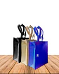 Bolsa Eco. Fuelle Y Cierre 36 x 15 x 42Cm BN001B - Miniatura 1