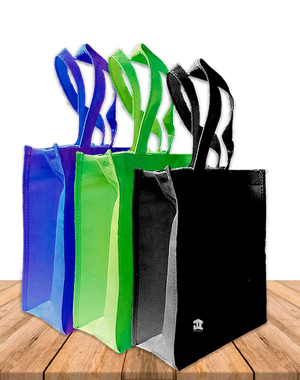 Bolsa Eco. Fuelle y Cierre 42 x 48 Cm BN-001C 1