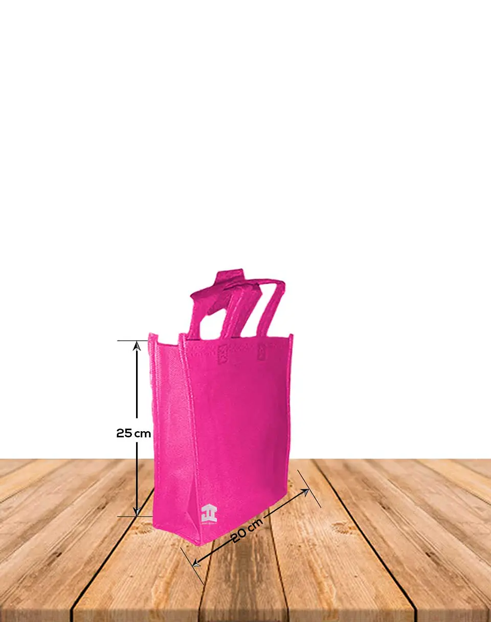 Bolsa Ecológica Con Fuelle y Manilla 20 x 25 cms  Precio X Docena 1