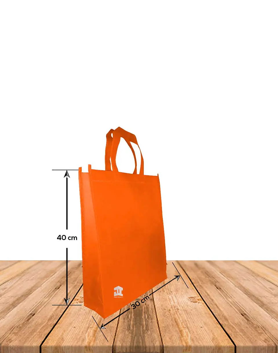 Bolsa Ecológica Con Fuelle y Manilla 30 x 40 cms, Precio x Docena 5