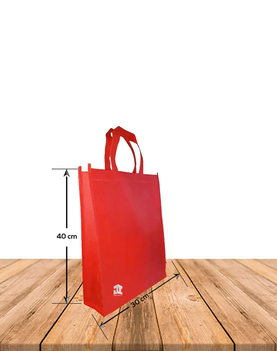 Bolsa Ecológica Con Fuelle y Manilla 30 x 40 cms, Precio x Docena 6