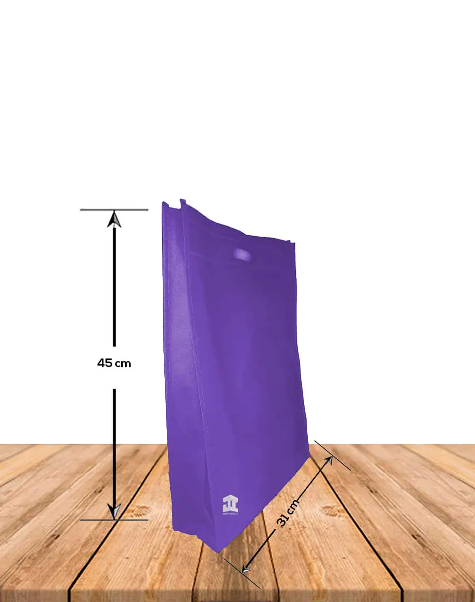 Bolsa Ecológica Con Fuelle 31 x 45 cms. Precio X Docena 5