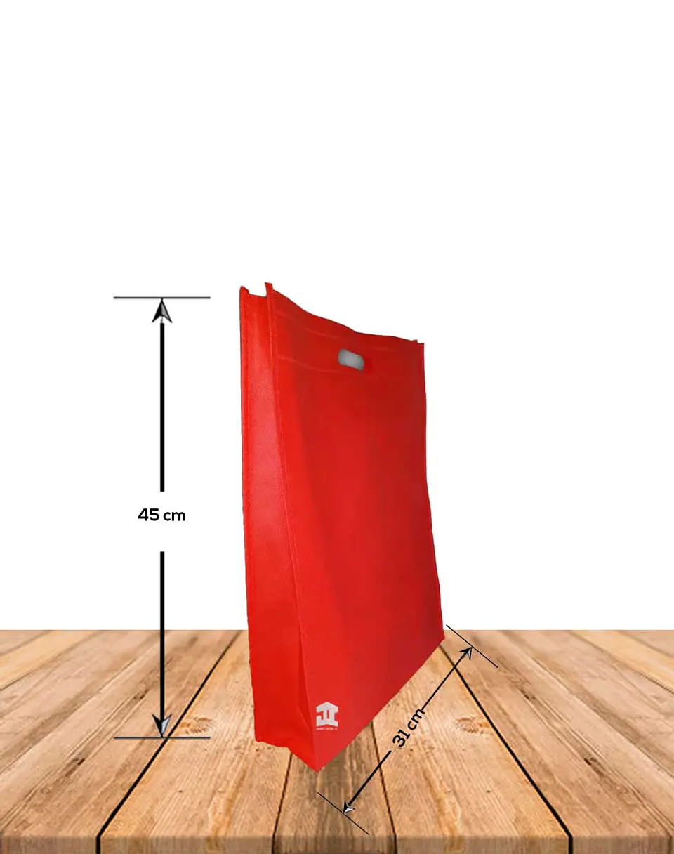 Bolsa Ecológica Con Fuelle 31 x 45 cms. Precio X Docena 7
