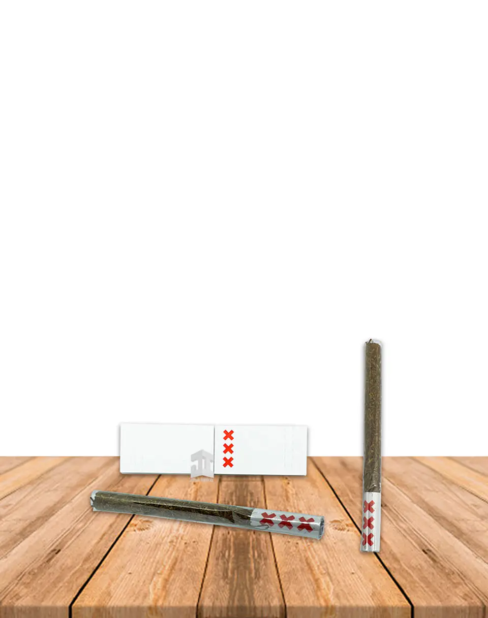Papel Rolling Amsterdam  CELULOSA 1 1/4 + TIPS 3