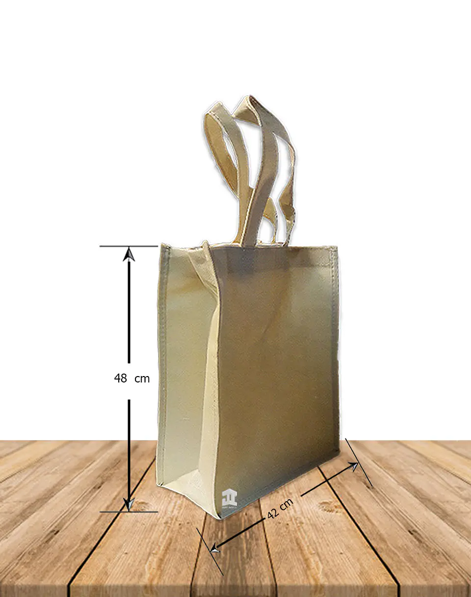 Bolsa Eco. Fuelle y Cierre 42 x 48 Cm BN-001C 4