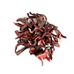 Flor De Jamaica 1 kg - Miniatura 2
