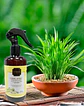 Aromatizador de Casa / Home Spray 300 ml - Citronella - Miniatura 2