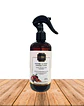Aromatizador de Casa / Home Spray 300 ml - Manzana Canela Clavo - Miniatura 1