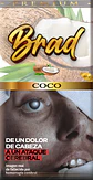 Tabaco BRAD 40g Sabores - Miniatura 10