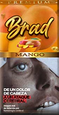 Tabaco BRAD 40g Sabores - Miniatura 13