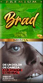 Tabaco BRAD 40g Sabores - Miniatura 17