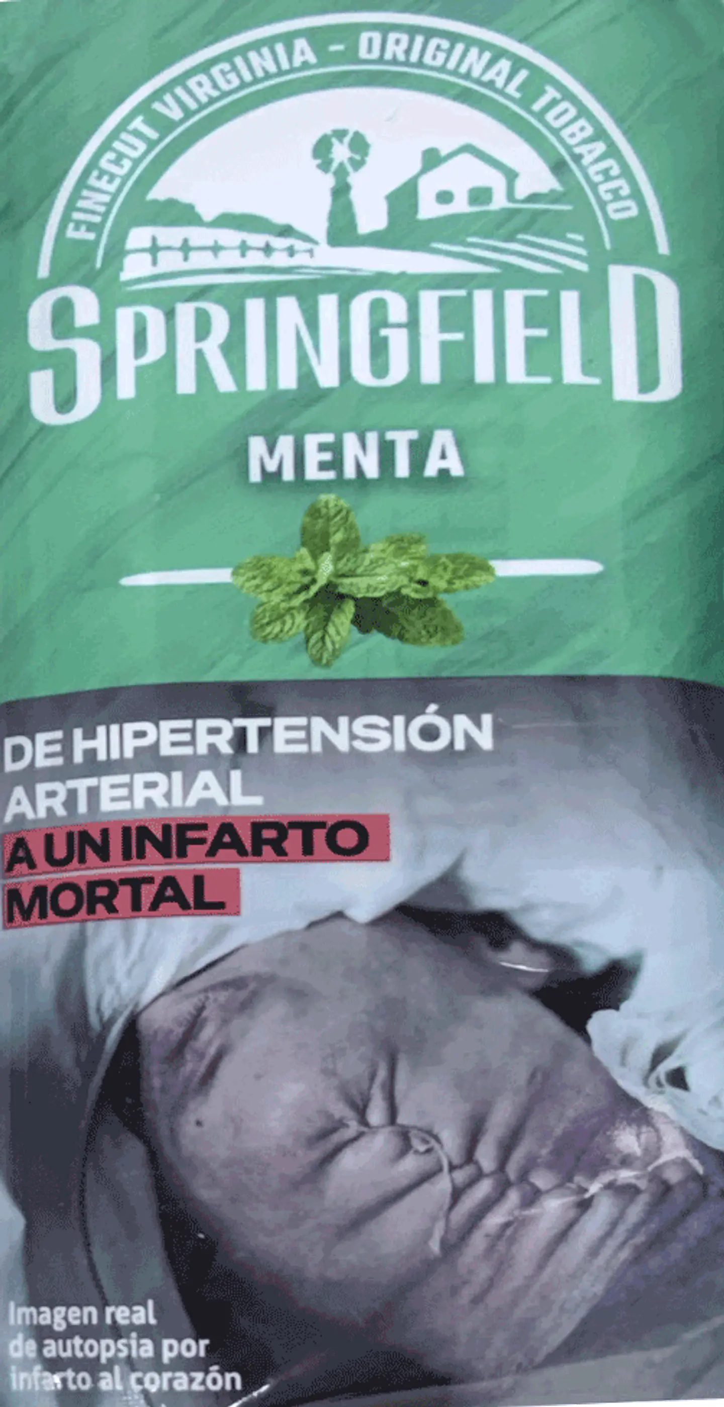 Tabaco Springfield Sabores 40 gm 7
