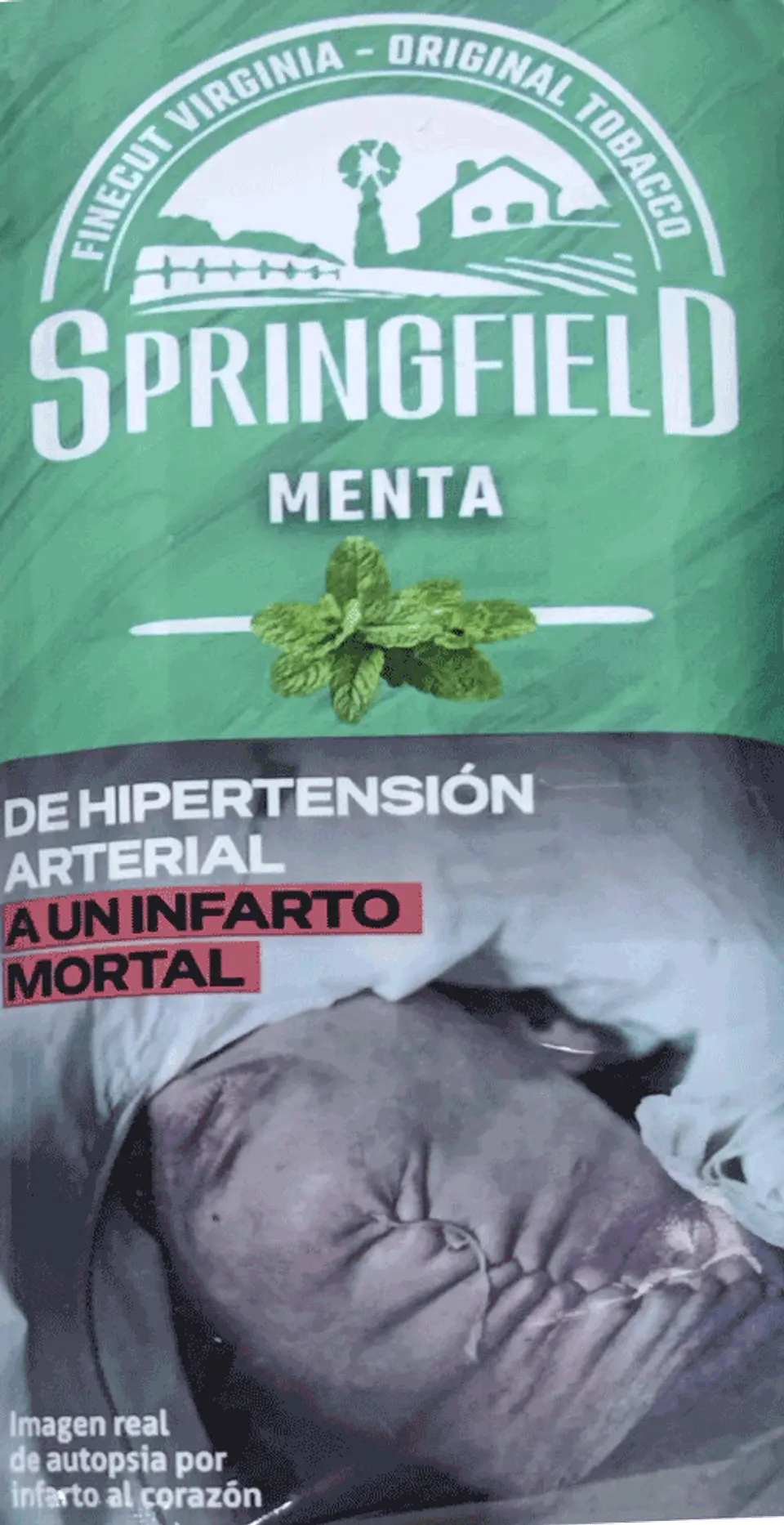 Tabaco Springfield Sabores 40 gm 7