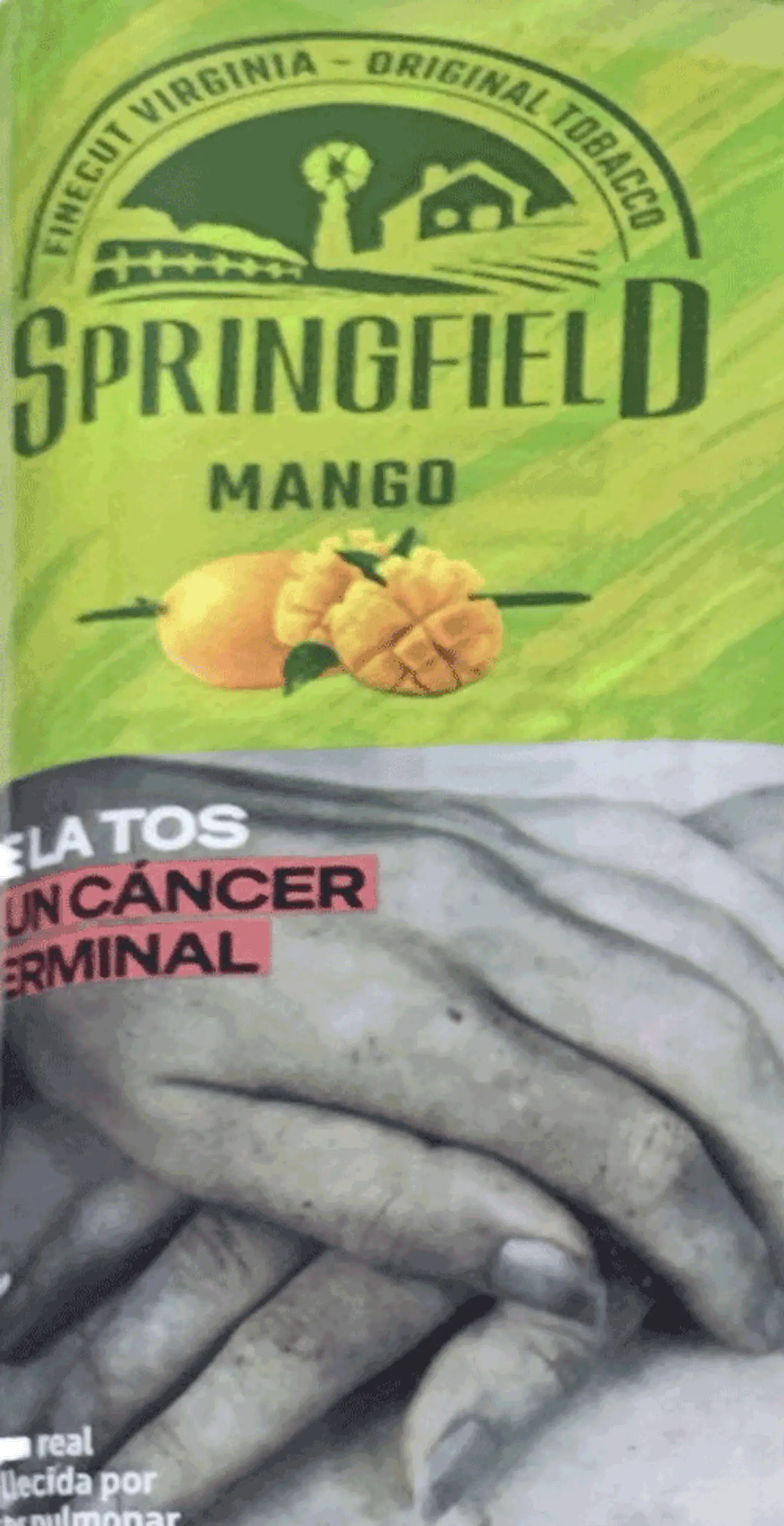 Tabaco Springfield Sabores 40 gm 6