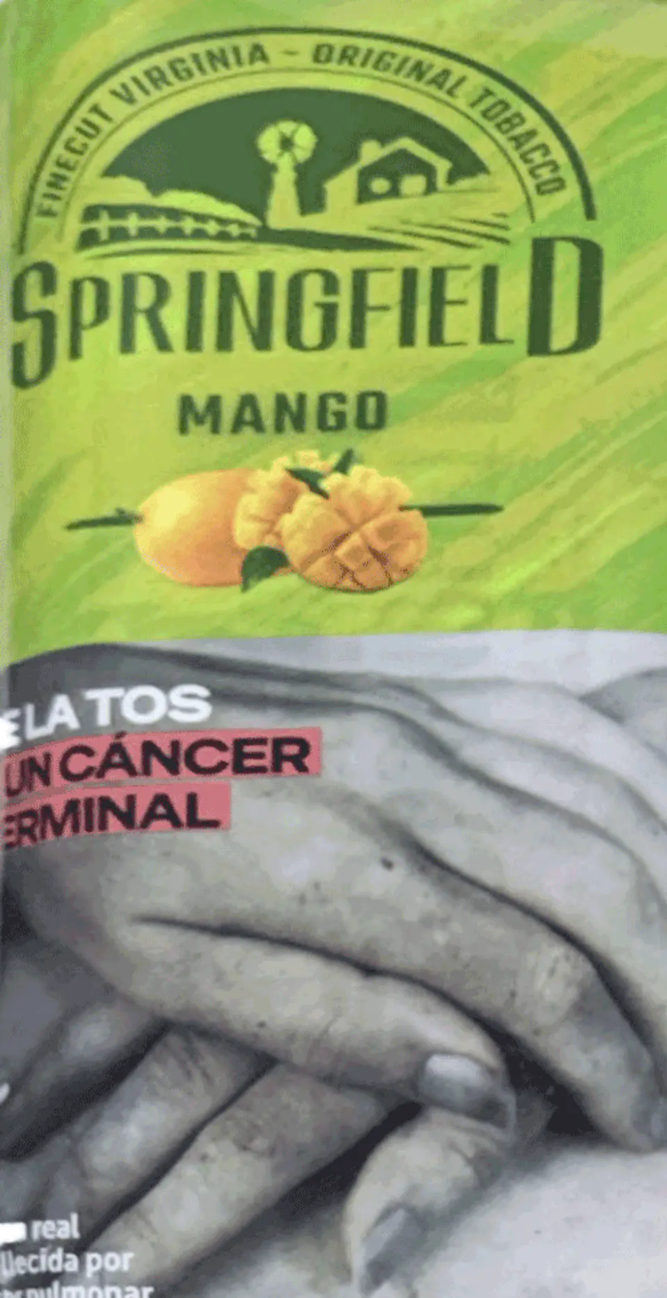 Tabaco Springfield Sabores 40 gm 6