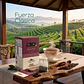 Té  Negro Chai Classic en bolisitas - Miniatura 3
