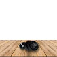 Moledor Metalico Amsterdam 3 Piezas - Miniatura 2