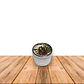 Moledor Mini Metal DK5800N - Miniatura 1