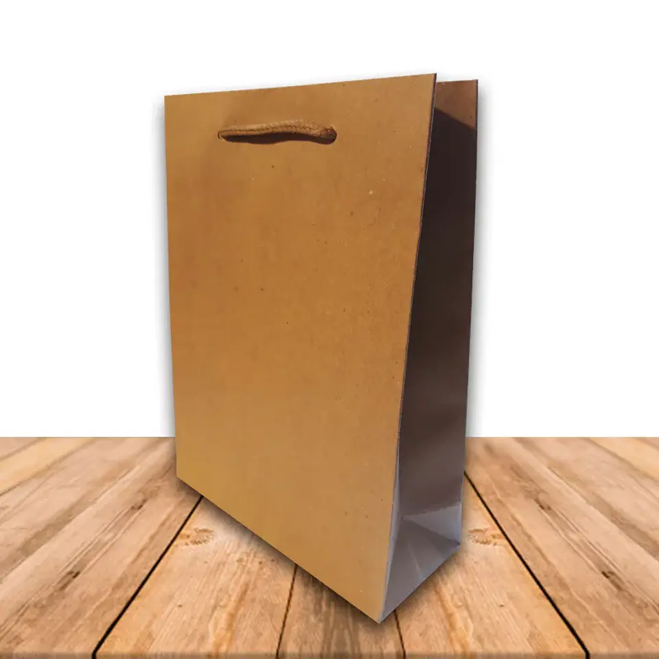 Bolsa De Papel Kraft 19 x 24.5 cms JI16-09D  1