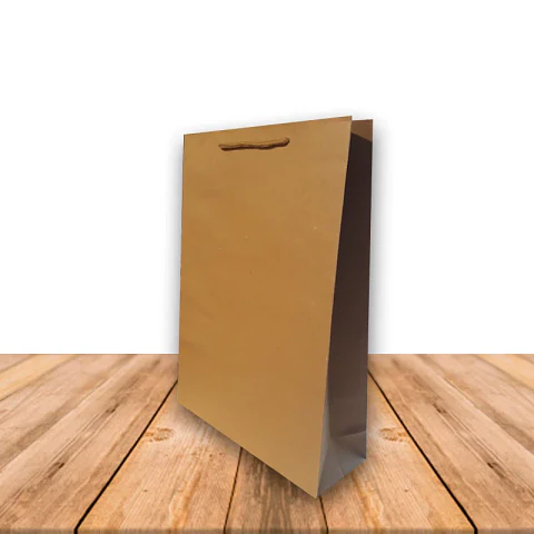 Bolsa De Papel Kraft 24 x 33 cms JI16-09E