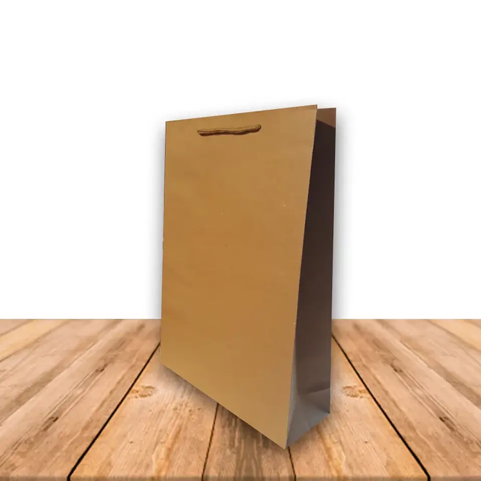 Bolsa De Papel Kraft 24 x 33 cms JI16-09E 1