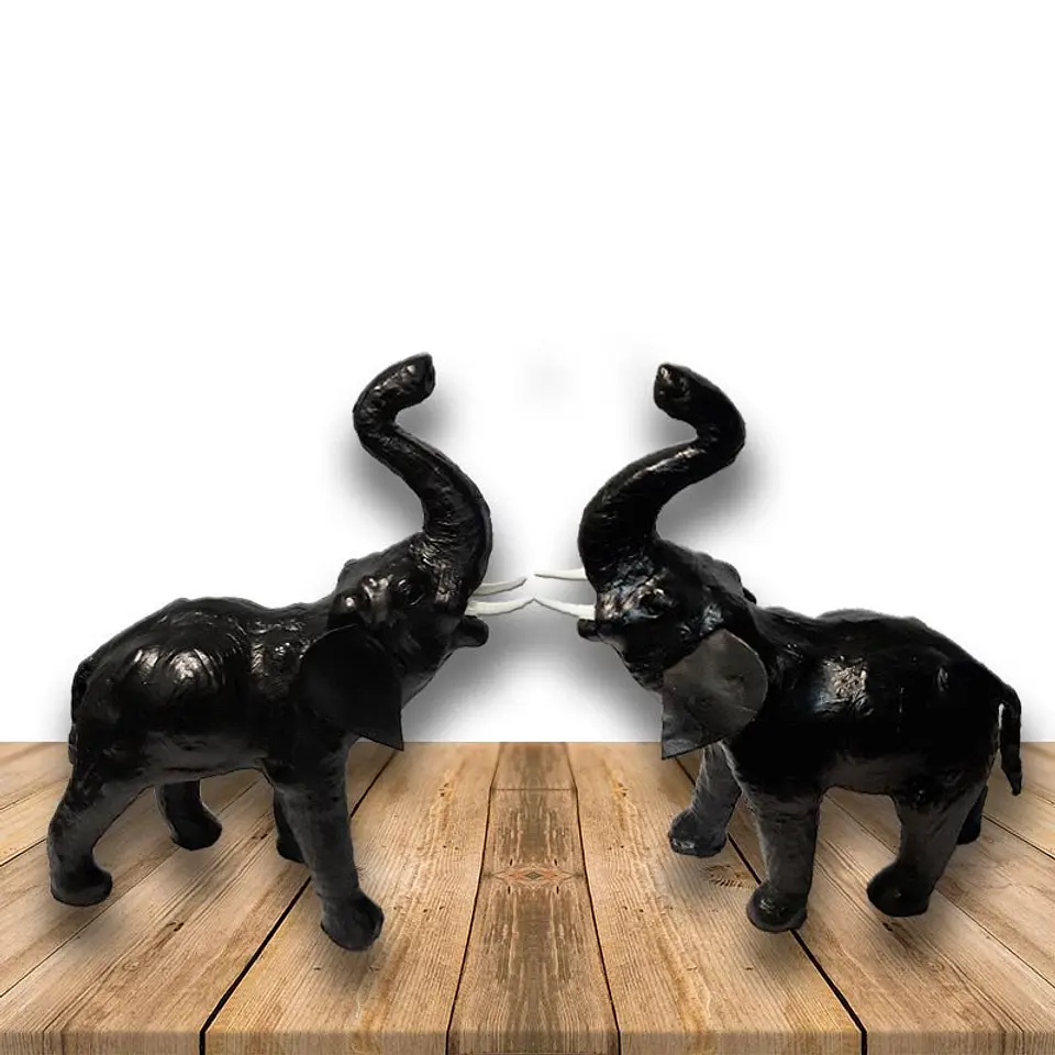  Elefante de Cuero 12