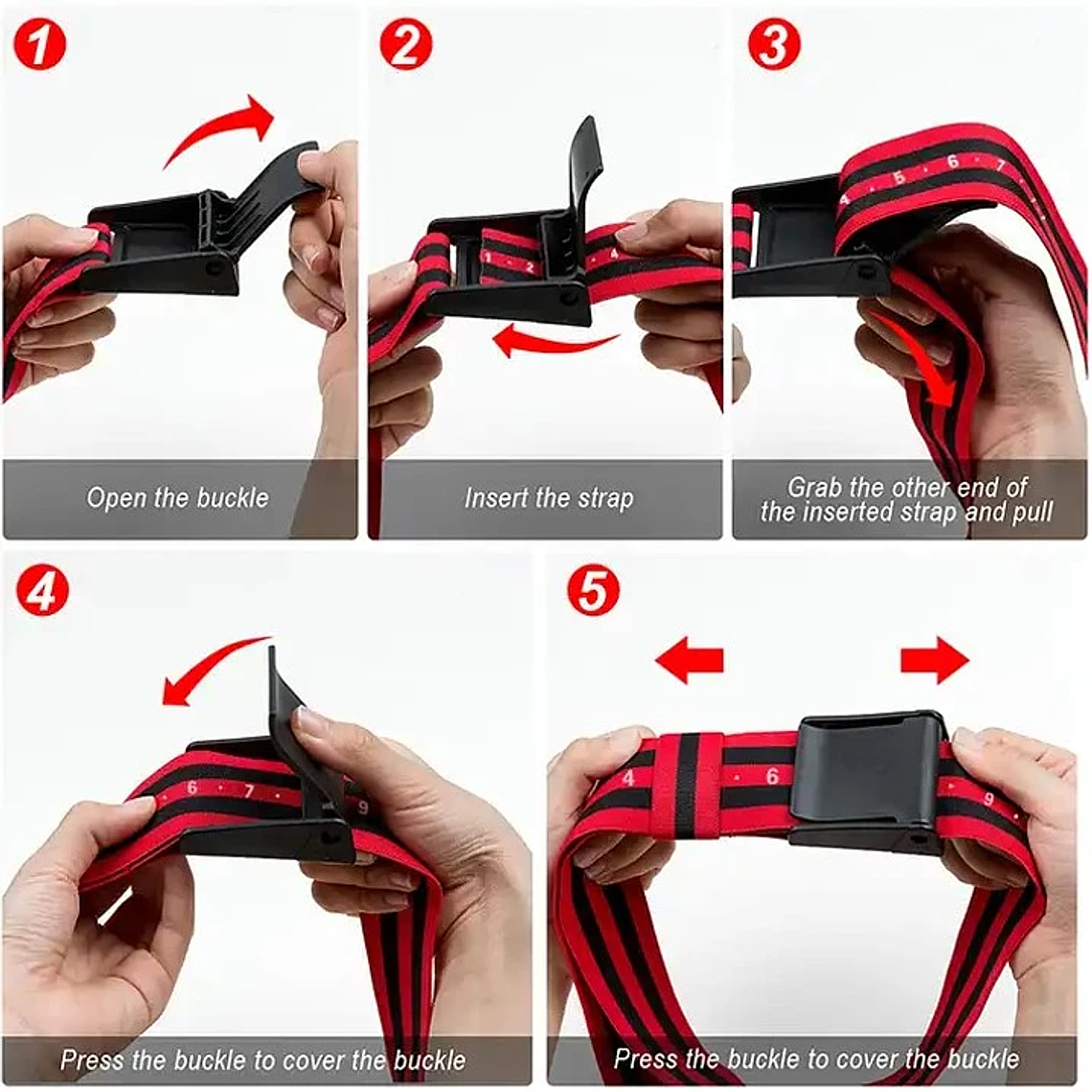 Bandas De Oclusion Bfr Numeradas Set 2