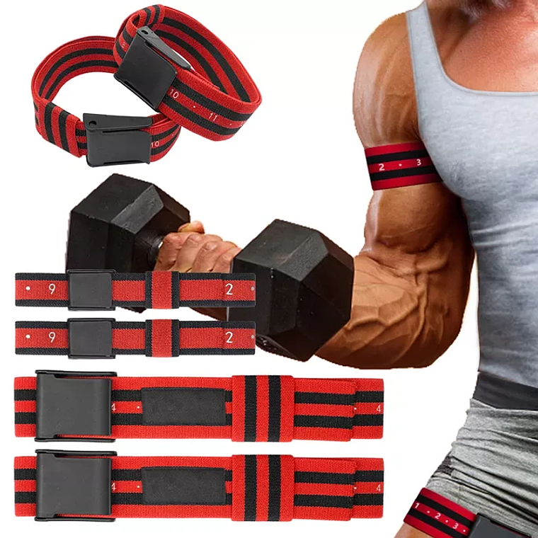 Bandas De Oclusion Bfr Numeradas Set 4