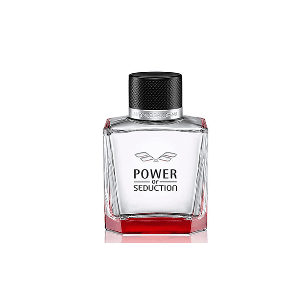 Antonio Banderas Power Of Seduction 100ML edt 2