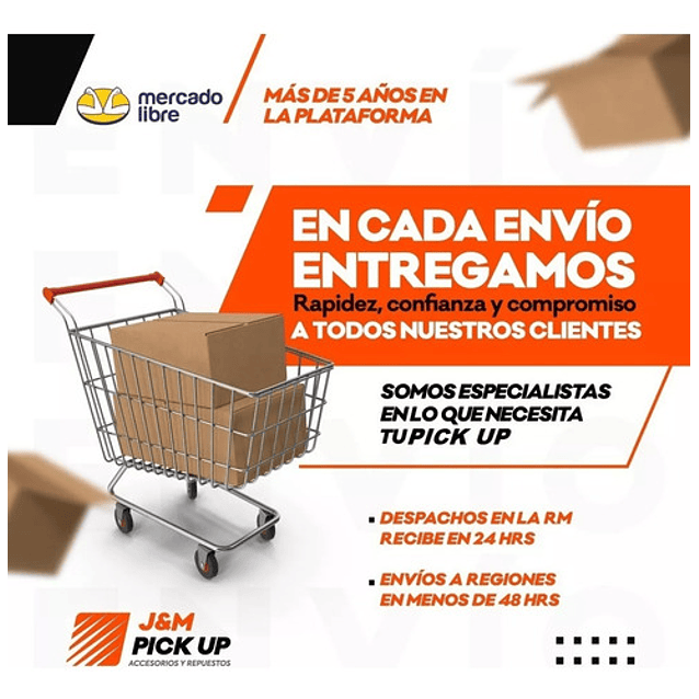 Rodamiento Eje Piloto Caja Volkswagen Amarok Tiguan Golf A3 3