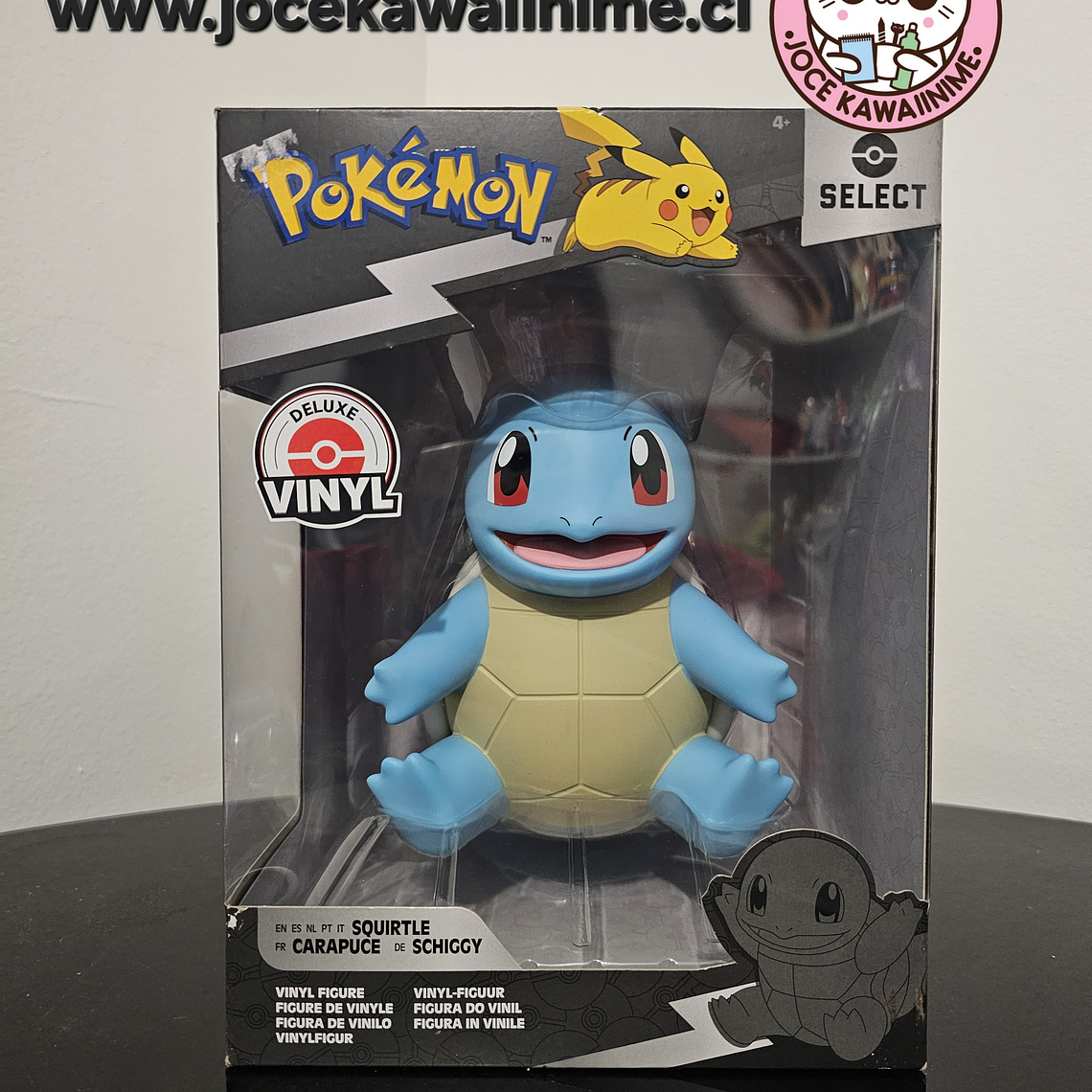 Squirtle  1