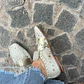 Mocasín Champagne - Miniatura 6