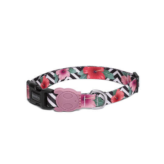 Zeedog collar