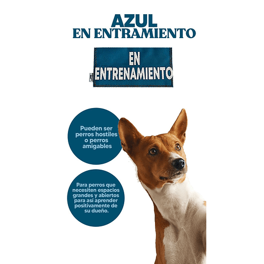 Señalética para perros; tagtalk