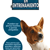 Señalética para perros; tagtalk