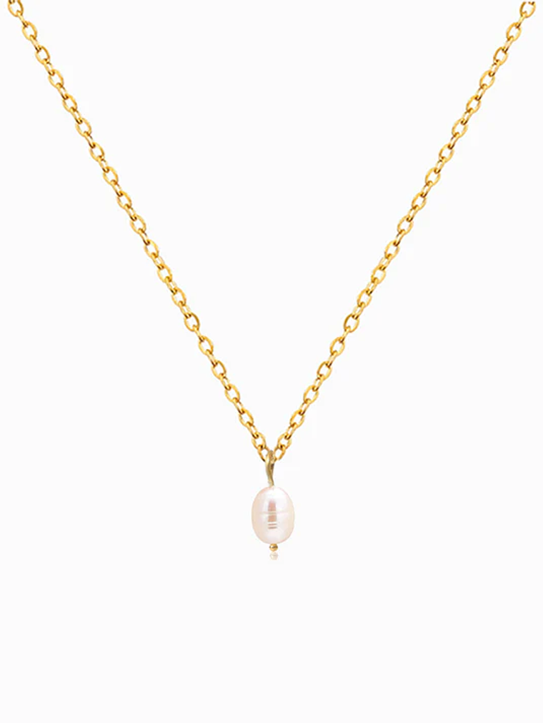 Freshwater Pearl Necklace - Stainless Steel - Gold Plated 1