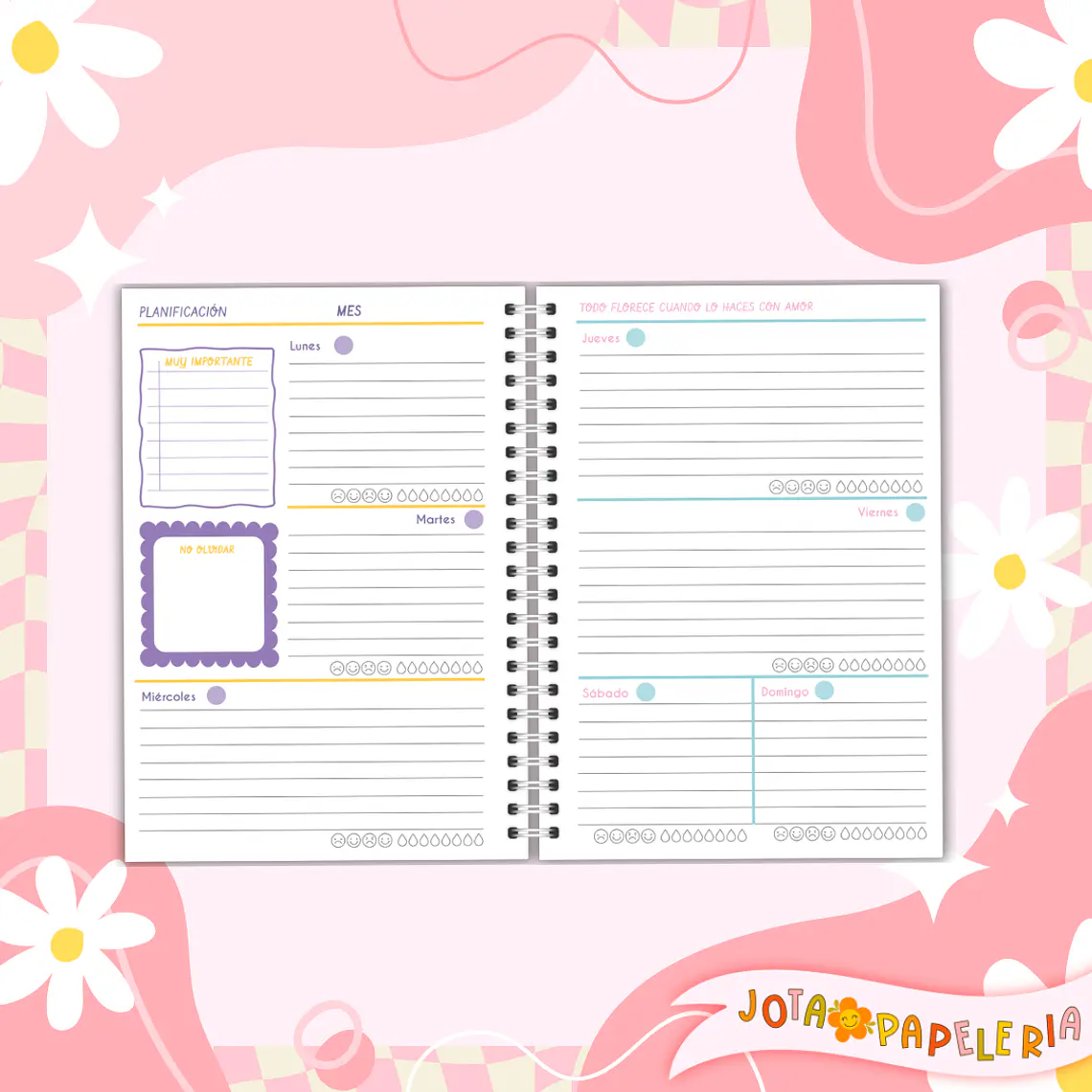 PLANNER CONEXION 5