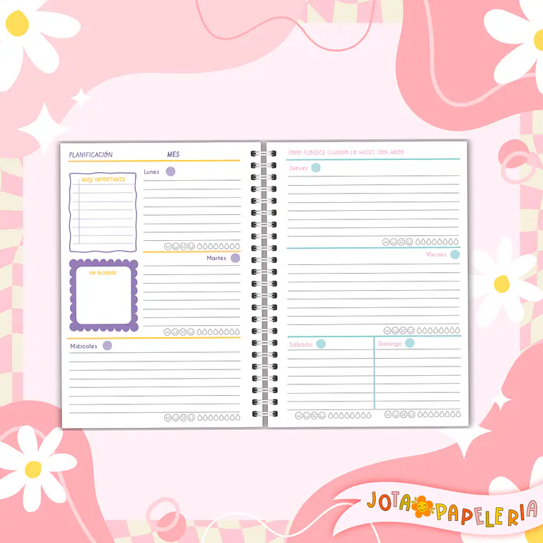 PLANNER CONEXION 5