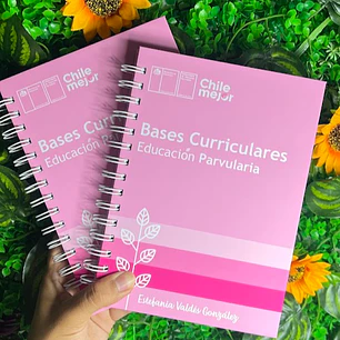 Jotapapeleria.cl