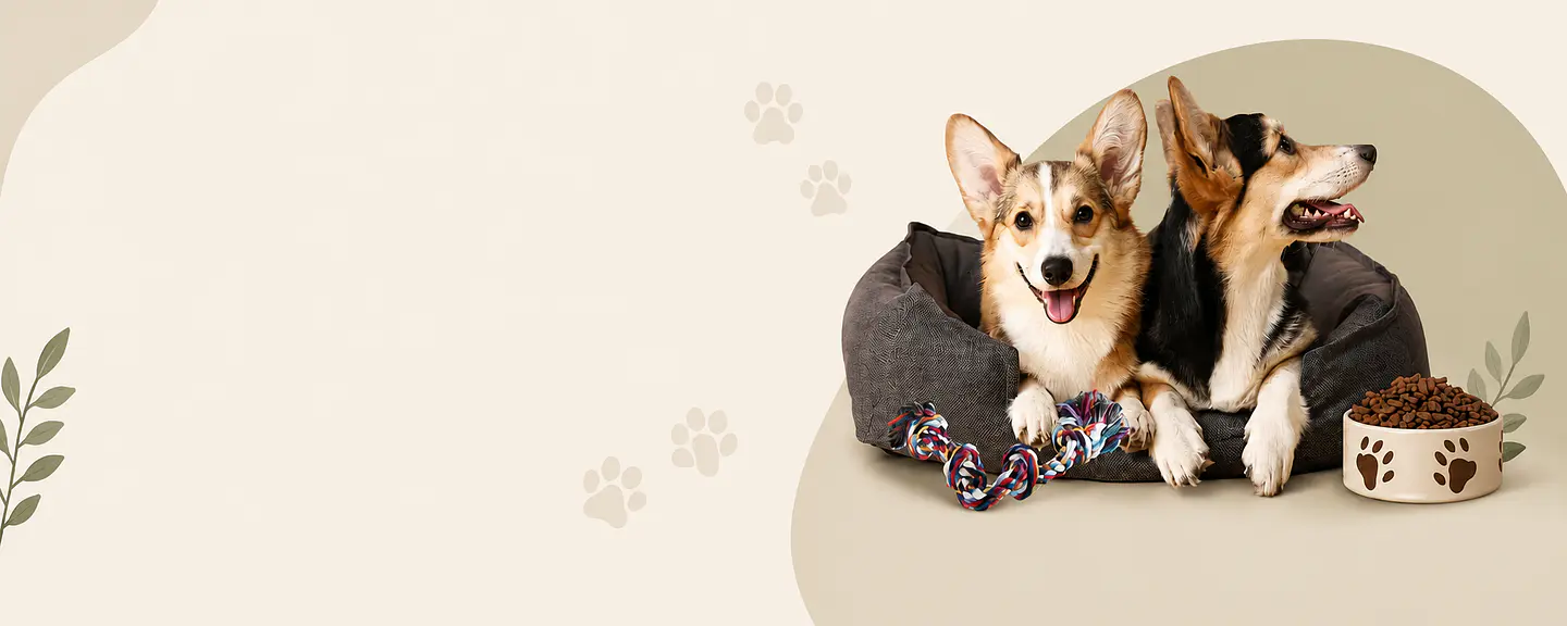 Más que mascotas, son parte de nuestra familia.