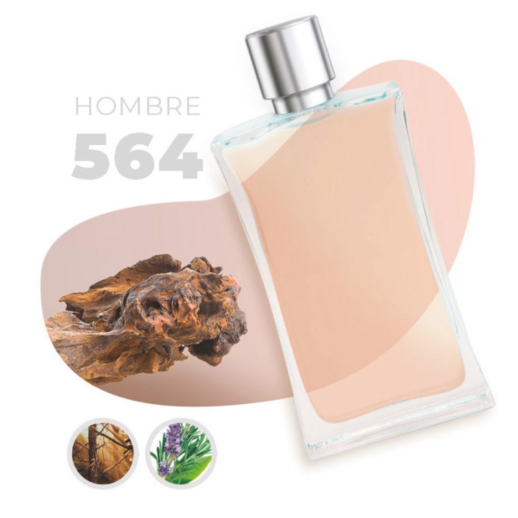 Perfume de hombre 564 - 100ml 1