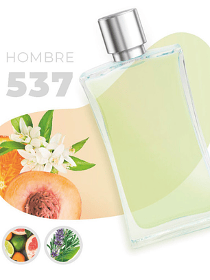 537 - Inspirado en LIGHT BLUE - 100ml